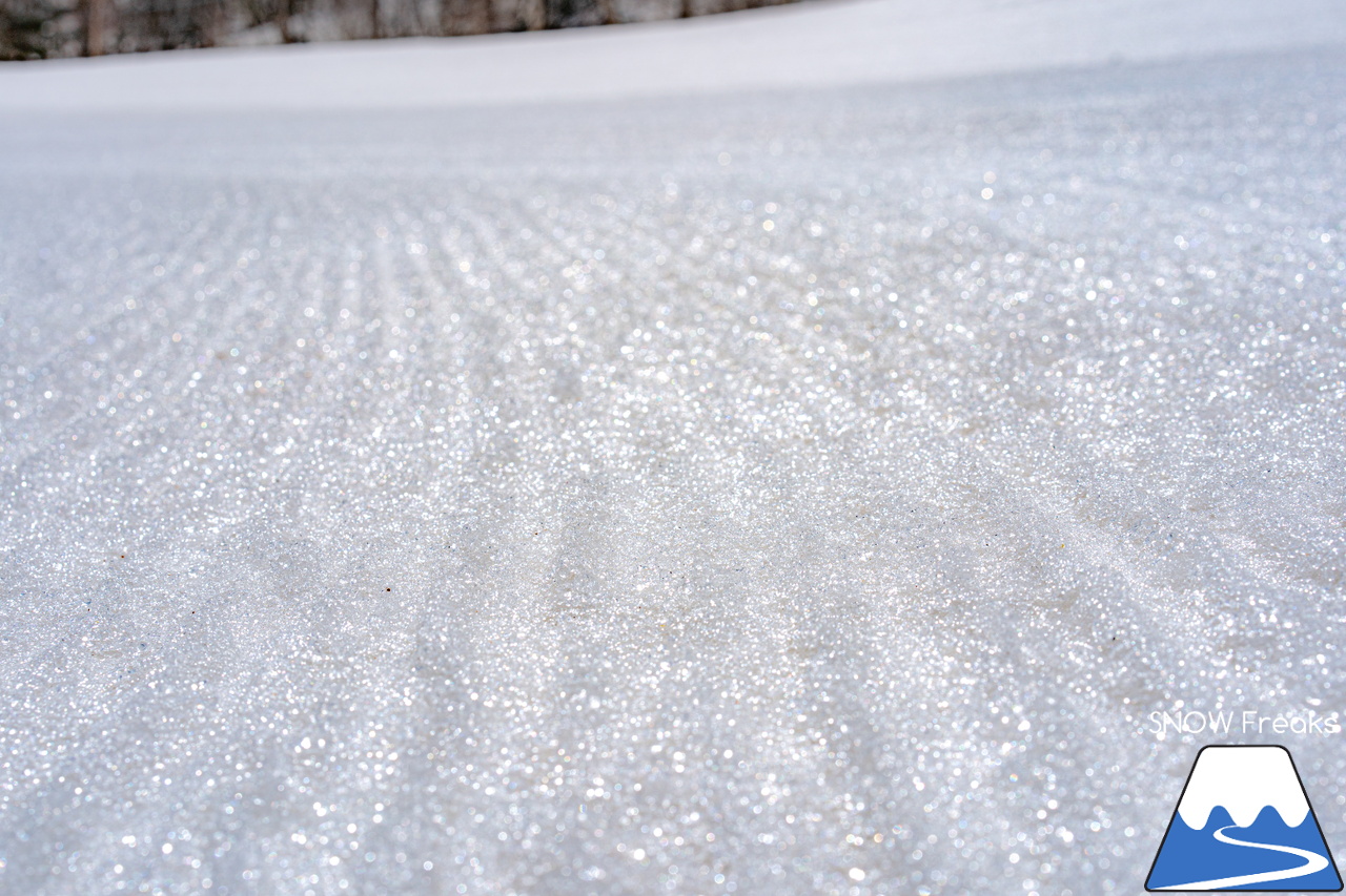 富良野スキー場｜高度感たっぷり、標高900ｍの別世界。大雪山系を望む絶景と春雪を思いっきり楽しみましょう！